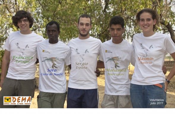 Cinco voluntarios, cinco países diferentes y un solo objetivo:  trabajar juntos para el Cernícalo Primilla